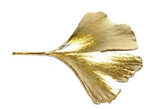 Unikat-Brosche "Natur in Gold", echtes Ginkgo Blatt, vergoldet, ca. 10,5 cm X 8,5 cm - -	Einzelstücke nur erhältlich bei www.danilogold-shop.de