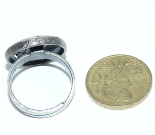 Einzelstück, Nordform-Design, Nordform-Ring "Blumenwiese" aus 925 Silber mit einemrunden, funkelnd facettierten Bergkristall, seidenmatt, in den Tiefen geschwärzt, verstellbare Ringweite bis ca. 64. Anlaufgeschützt. Die gesamte skandinavische / finnische Nordform-Kollektion ist so designt, daß fast alle Schmuckstücke miteinander kombinierbar sind. Besonders gut zu diesem Schmuckstück paßt Anhänger Nord 0014 sowie Ohrringe Nord 0054 + 0057. -	skandinavisches Design zuhause bei www.danilogold-shop.de