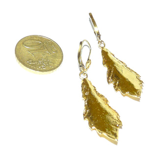 Einzelstücke, Ohrhänger "Natur in Gold", echte natürliche Eichenblätter wurden in einem aufwendigen Verfahren stabilisiert + vergoldet, die Brisuren sind aus 925 vergoldetem Silber -	Einzelstücke nur erhältlich bei www.danilogold-shop.de