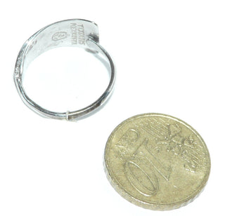 Einzelstück, Ring "Trapez" aus 925 Silber, gefertigt in Mexico, 3 Teile aus dem grün-blau-violett schillernden Perlmutt der Paua-Muschel, auch See-Opal genannt, in Fingerform gebogenen, verstellbare Ringweite ca. 52 -	Nur erhältlich im Onlineshop von Juwelier & Goldschmiede Danilo!