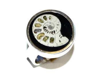 Einzelstück, Ring aus 925 Silber mit einem fossilen Ammonit eingebettet in schwarzem Acryl, unten offen, daher Weite leicht variabel, Ringweite momentan ca. 56, Ringoberteil Durchmesser 20,3 mm, dazu paßt An 0419.  - Unikate und Pretiosen nur erhältlich im Onlineshop der Goldschmiede Danilo!
