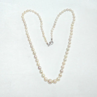 Einzelstück, Vintage-Akoja-Perlenkette, weiß mit einigen zart grauen Perlen dazwischen, geknotet, rund gerfomt, sehr schöner Glanz, Gesamtlänge 50 cm, von 3,9 mm auf 7,8 mm Durchmesser, Verschluß Silber, um 1950 -	Unikate und Pretiosen nur erhältlich im Onlineshop der Goldschmiede Danilo!