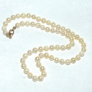 Einzelstück, Vintage-Akoja-Perlenkette in champagner-gold, geknotet, rund, schöner Glanz, Gesamtlänge 41 cm, 5,7-5,9 mm Durchmesser, Verschluß Gold-Doublé, um 1950 -	Vintage-Schmuck nur im Onlineshop von danilogold!