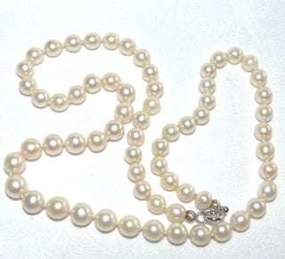 Einzelstück, antike Vintage-Akoja-Perlenkette in zartem champagner, leichter Verlauf, geknotet, rund, sehr schöner Glanz, Gesamtlänge 53 cm, von 6,7 mm auf Mittelperle 8,1 mm Durchmesser, Verschluß Silber, um 1960 -	Nur erhältlich im Onlineshop von Juwelier & Goldschmiede Danilo!