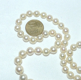 Einzelstück, antike Vintage-Akoja-Perlenkette in zartem champagner, leichter Verlauf, geknotet, rund, sehr schöner Glanz, Gesamtlänge 53 cm, von 6,7 mm auf Mittelperle 8,1 mm Durchmesser, Verschluß Silber, um 1960 -	Nur erhältlich im Onlineshop von Juwelier & Goldschmiede Danilo!