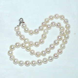 Einzelstück, Vintage-Akoja-Perlenkette, zart creme-rosé, geknotet, baroque gerfomt, sehr schöner Glanz, Gesamtlänge 51 cm, 9-9,5 mm Durchmesser, Verschluß Silber, um 1970 - Unikate und Pretiosen nur erhältlich im Onlineshop der Goldschmiede Danilo! 