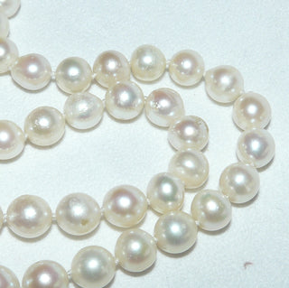 Einzelstück, Vintage-Akoja-Perlenkette, zart creme-rosé, geknotet, baroque gerfomt, sehr schöner Glanz, Gesamtlänge 51 cm, 9-9,5 mm Durchmesser, Verschluß Silber, um 1970 - Unikate und Pretiosen nur erhältlich im Onlineshop der Goldschmiede Danilo! 