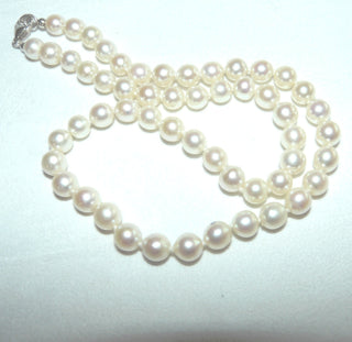 Einzelstück, Akoja-Perlenkette, creme-weiß mit rosé-Touch, geknotet, rund geformt, sehr schöner Glanz, Gesamtlänge 45 cm, 7,1 mm -7,5 mm Durchmesser, Karabiner-Verschluß aus Silber, um 1970 -	Einzelstücke nur erhältlich bei www.danilogold-shop.de