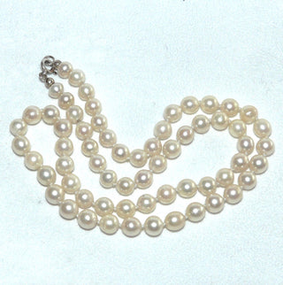 Einzelstück, Akoja-Perlenkette, zart champagner-farben, geknotet, rund, schöner Glanz, Gesamtlänge 48 cm, 6,3 mm - 6,7 mm Durchmesser, Karabiner-Verschluß aus Silber, um 1960 -	Nur erhältlich im Onlineshop von Juwelier & Goldschmiede Danilo!