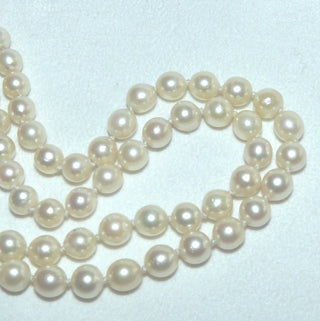 Einzelstück, Akoja-Perlenkette, zart champagner-farben, geknotet, rund, schöner Glanz, Gesamtlänge 48 cm, 6,3 mm - 6,7 mm Durchmesser, Karabiner-Verschluß aus Silber, um 1960 -	Nur erhältlich im Onlineshop von Juwelier & Goldschmiede Danilo!