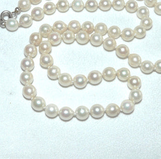 handgeknüpftes Einzelstück, Akoja-Perlenkette, zart creme-weiß, geknotet, rund, schöner Glanz, Gesamtlänge 49 cm, 6 mm - 6,5 mm Durchmesser, Federring-Verschluß aus Silber, um 1960 -	Unikate und Pretiosen nur erhältlich im Onlineshop der Goldschmiede Danilo!