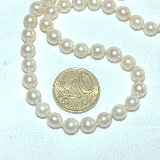 handgeknüpftes Einzelstück, Akoja-Perlenkette, zart creme-weiß, geknotet, rund, schöner Glanz, Gesamtlänge 49 cm, 6 mm - 6,5 mm Durchmesser, Federring-Verschluß aus Silber, um 1960 -	Unikate und Pretiosen nur erhältlich im Onlineshop der Goldschmiede Danilo!