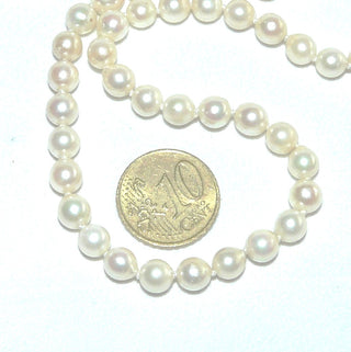 handgeknüpftes Einzelstück, Akoja-Zuchtperlenkette, Salzwasserperlen zart creme-weiß, geknotet, rund, schöner Glanz, Gesamtlänge 49 cm, 6-6,5 mm Durchmesser, Federring-Verschluß aus Silber, um 1960 - Unikate und Pretiosen nur erhältlich im Onlineshop der Goldschmiede Danilo!