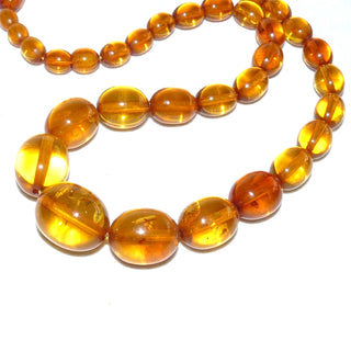 handgefertigtes Einzelstück, handgefädelte Vintage-Bernstein-Kette aus polierten, transparenten Oliven im Verlauf von 6,5 mm auf 17 mm Durchmesser, ungeknotet, honiggelb mit wenigen dezenten Einschlüssen, originaler Bernstein-Dreh-Verschluß, Gesamtlänge 50 cm, Art Deco um 1930 - Vintage-Schmuck nur im Onlineshop von danilogold!
