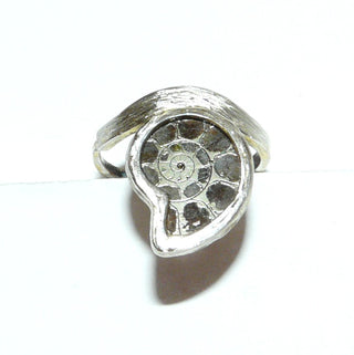 Einzelstück, brauner Ammonit-Silberring aus 925 Silber mit einem kleinen versteinerten kompletten Ammonit mit satinierter, leicht geschwungener Ringschiene, verstellbar bis ca. Ringweite 58 - Goldschmiede-Danilo