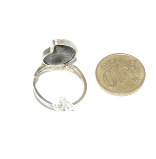 Einzelstück, brauner Ammonit-Silberring aus 925 Silber mit einem kleinen versteinerten kompletten Ammonit mit satinierter, leicht geschwungener Ringschiene, verstellbar bis ca. Ringweite 58 - Goldschmiede-Danilo